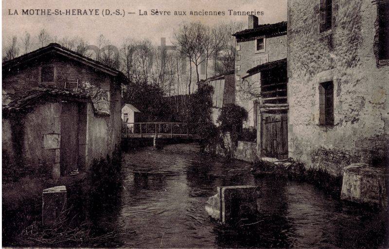 Chamoiserie et tannerie La Mothe saint Hray