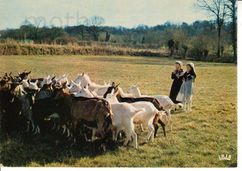 Les pibolous de La Mothe saint Hray