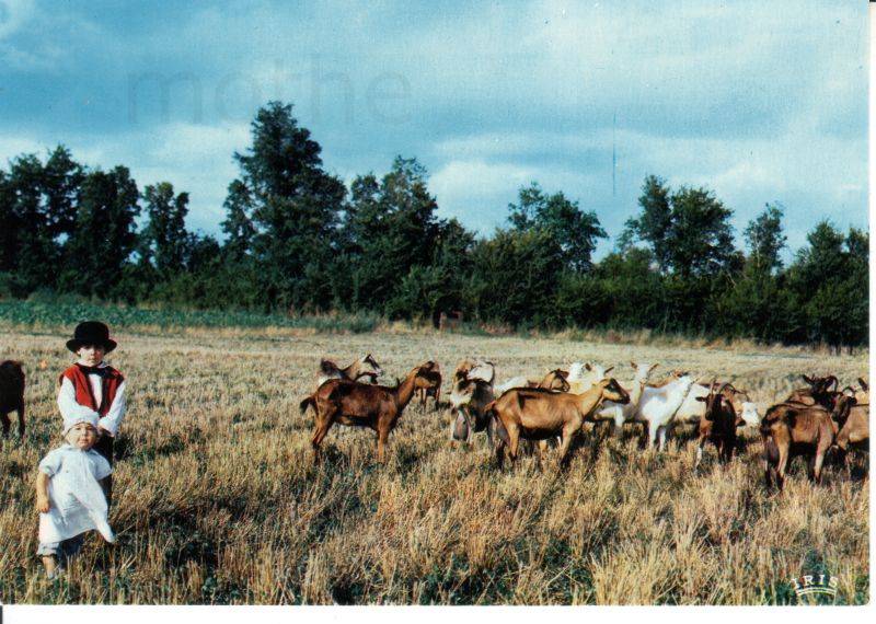 Les pibolous de La Mothe saint Hray