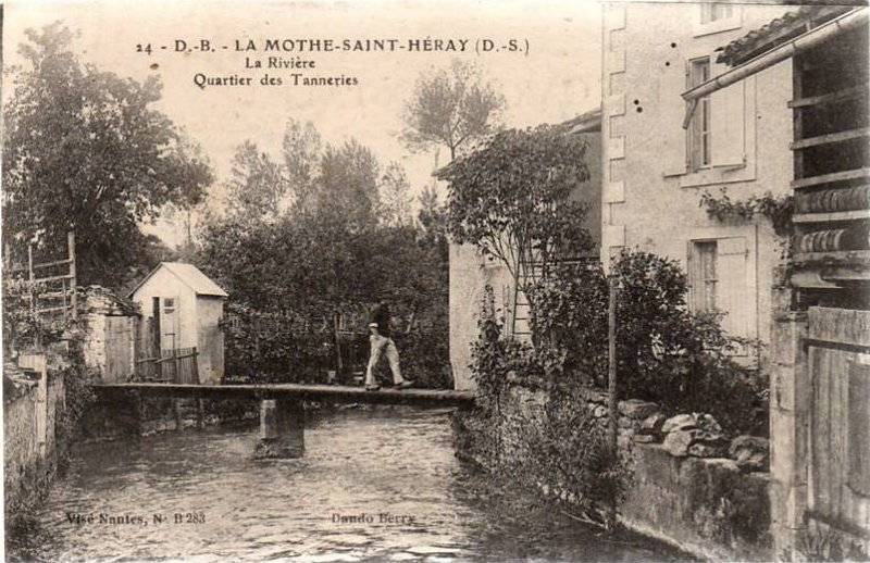 Chamoiserie et tannerie La Mothe saint Hray