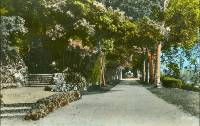 Le thtre d'extrieur et le parc de La Mothe saint Hray