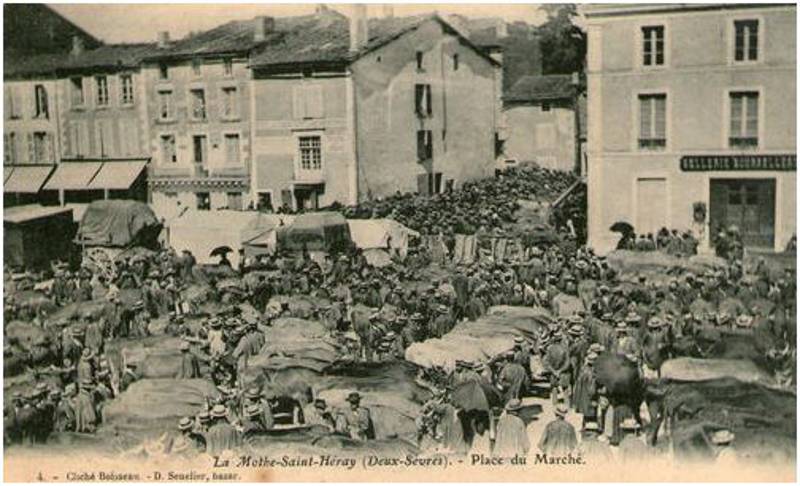 Rassenblement divers  La Mothe saint Hray