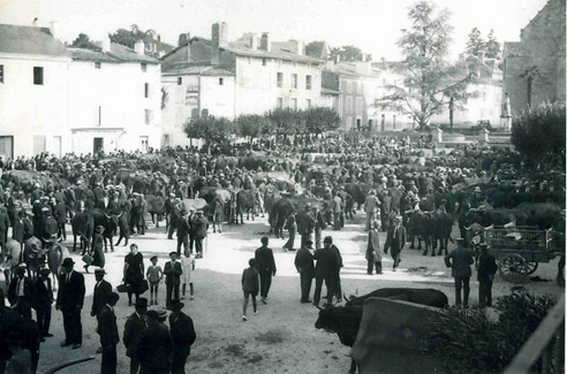 Rassenblement divers  La Mothe saint Hray