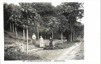 Le thtre d'extrieur et le parc de La Mothe saint Hray