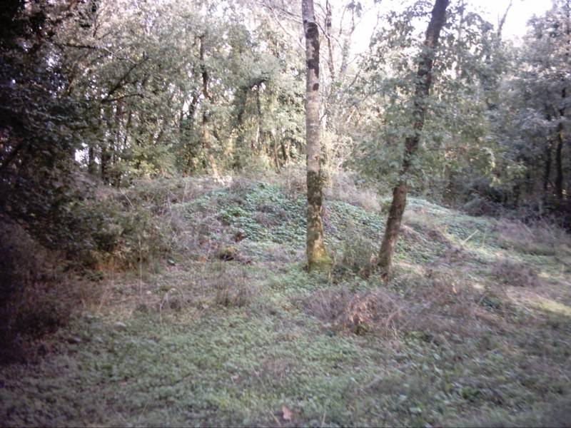 Dolmen de la garenne  la villedieu-de-combl.