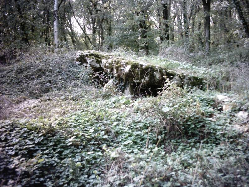 Dolmen de la garenne  la villedieu-de-combl.