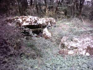 Dolmen de la garenne  La Villedieu-de-Combl.