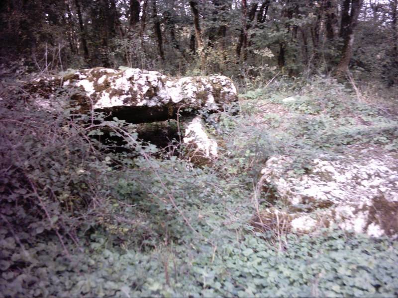 Dolmen de la garenne  la villedieu-de-combl.