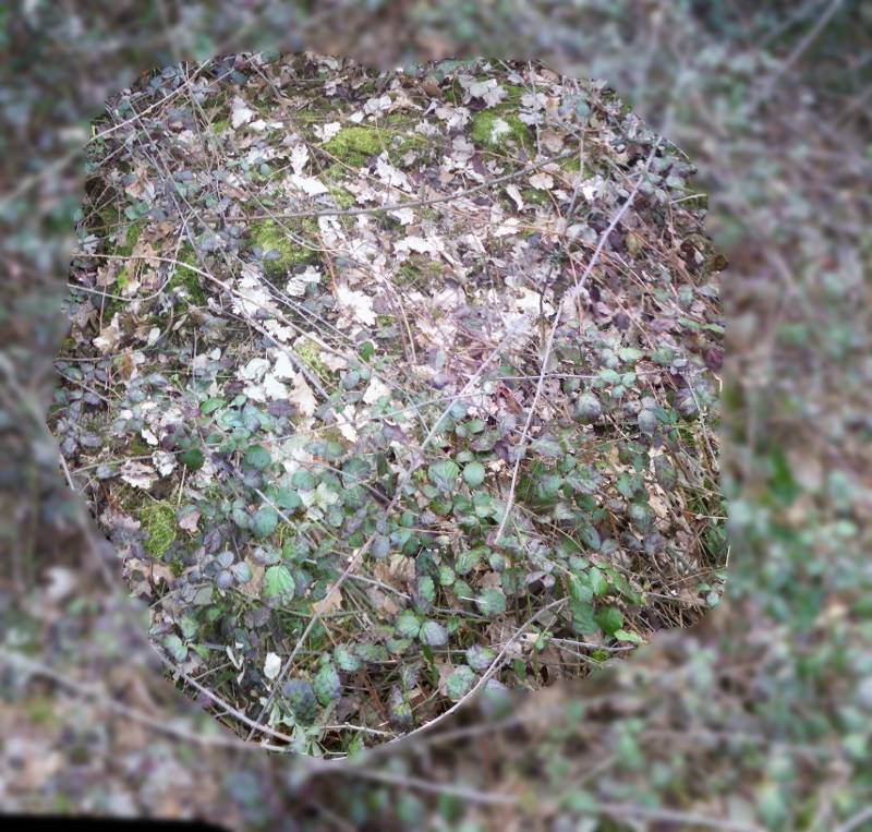 Dolmen de la garenne  la villedieu-de-combl.