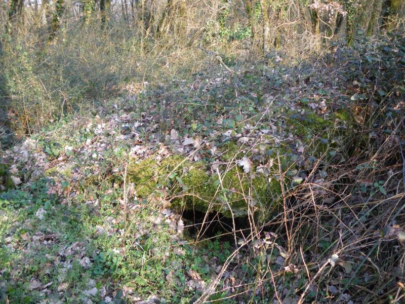 Dolmen de la garenne  la villedieu-de-combl.