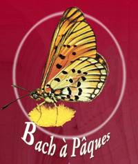 Festival Bach  Pques 2011