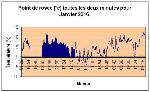 Point de rose pour Janvier 2016.