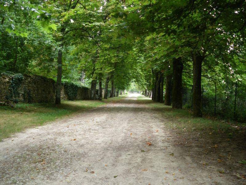 Le parc de La Mothe saint-Hray