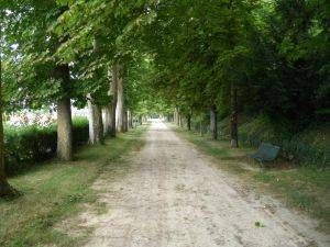 Le parc de La Mothe saint-Hray