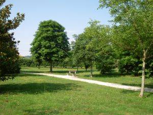 Le parc du pont l'abb de La Mothe saint-Hray